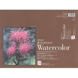 Strathmore A3 BLOCK Watercolour (30.5X40.6 CM x 15 sheets) 300 g/m2 Cold Press natural white paper color 400 Series Heavyweight (16*12 IN)